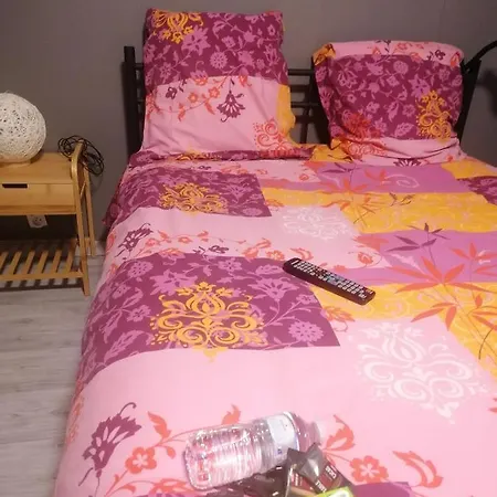 Vendégház Dans Maison Familiale Saint-Girons