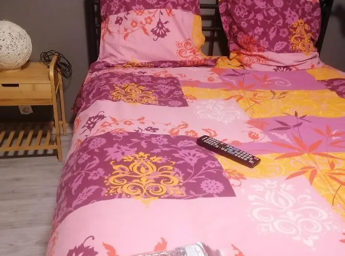 Pensionat Dans Maison Familiale Saint-Girons (Ariege)